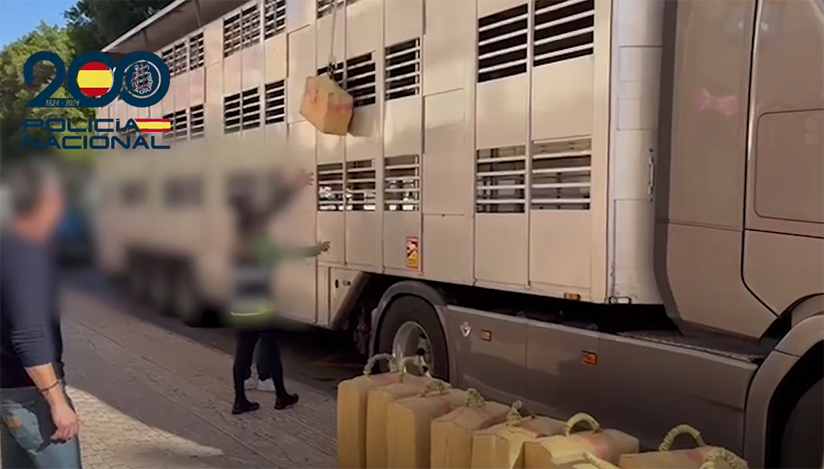 Spaanse politie vindt 470 kilo hasj in Nederlandse vrachtwagen, chauffeur gearresteerd [+video]