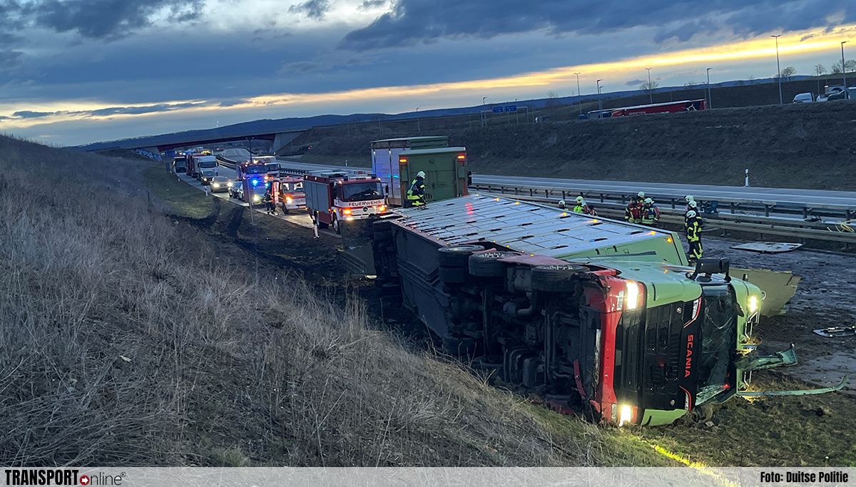 Vrachtwagen met koeien gekanteld op Duitse A71 [+foto's]