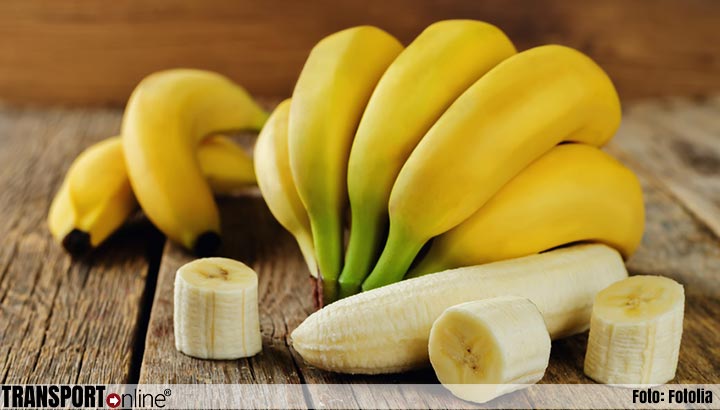 Opnieuw cocaïne gevonden tussen lading bananen