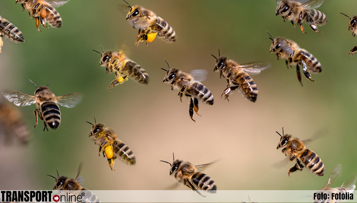 Zwerm bijen houdt vliegtuig Air India uren aan de grond