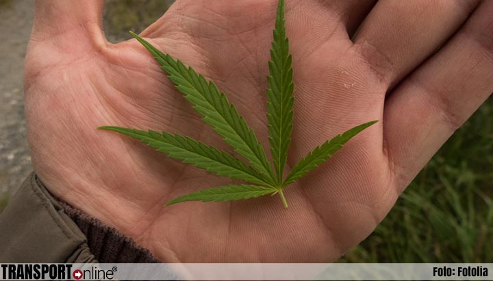 7,4 ton cannabis in Antwerpse haven onderschept