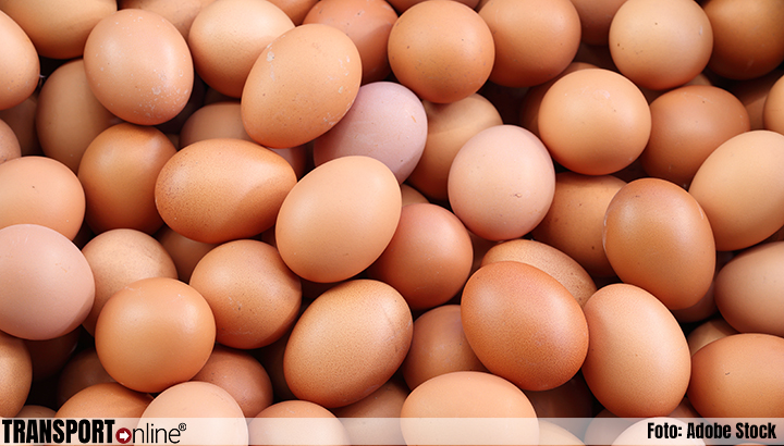 Eieren in jaar tijd meer dan kwart in prijs gestegen