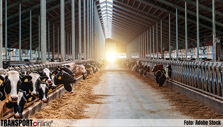 Onzeker of emissiearme melkveestallen wel doen wat ze beloven