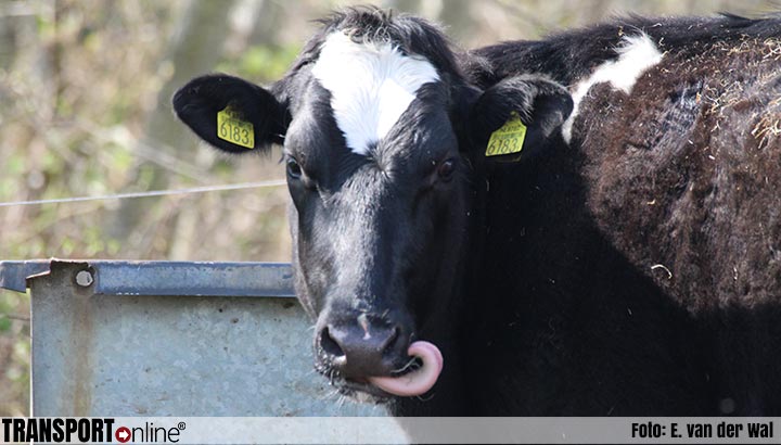 'Kabinet kan veehouderij niet blijven ontzien'