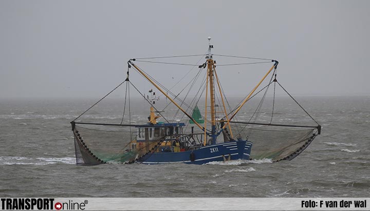 Aanvoer vis naar Nederlandse havens in 2021 toegenomen
