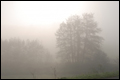 ANWB waarschuwt voor dichte mist 