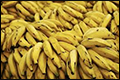 Drugs aangetroffen tussen bananen in Kloosterzande