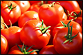 Tomatengevecht kleurt Dam rood 