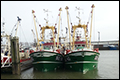 EU verbiedt invoer vis uit Faeröer